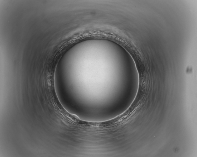X0000094961490200711291428