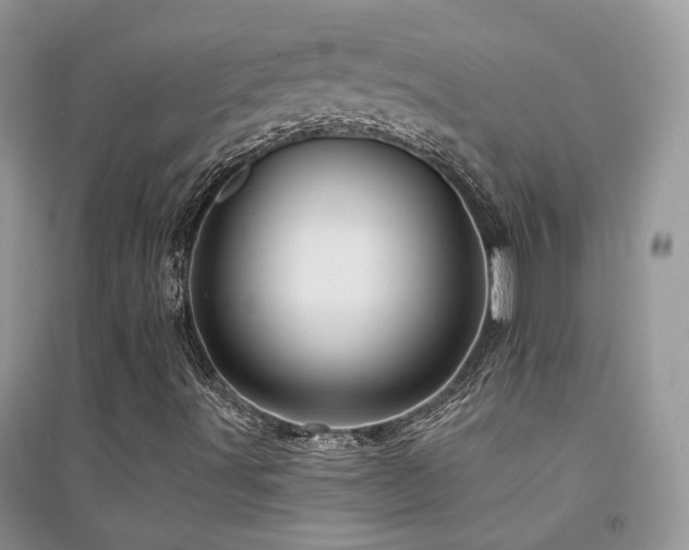 X0000094961491200711291428