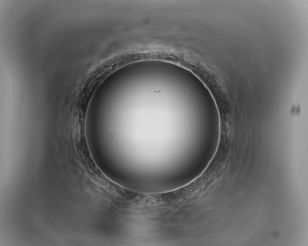 X0000094961493200711291428