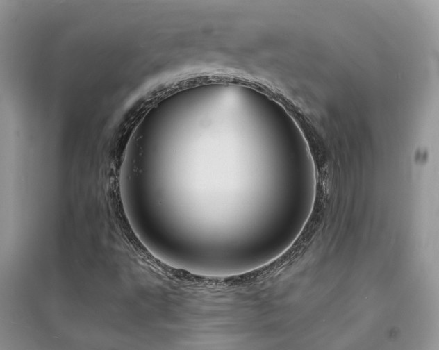 X0000094961495200711291428
