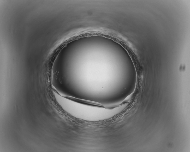X0000094961496200711291428