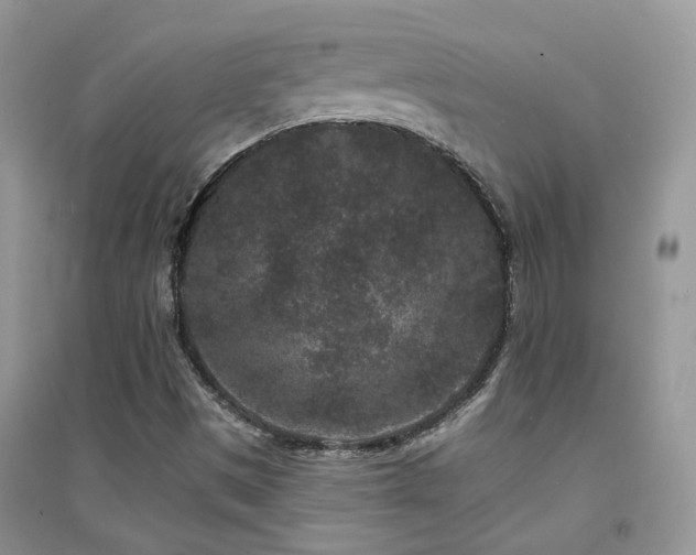 X0000094961497200711291428