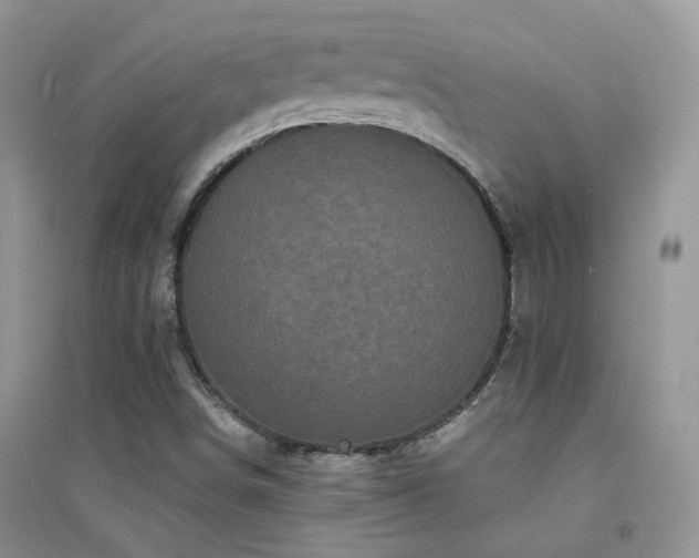 X0000094961498200711291428