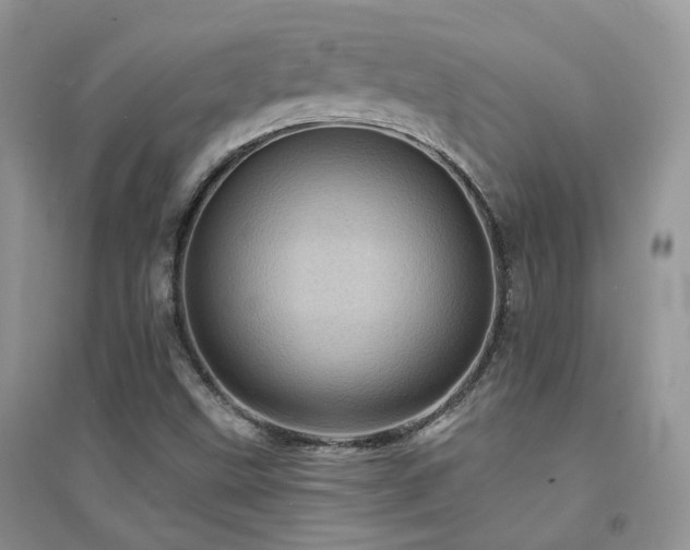 X0000094961499200711291428