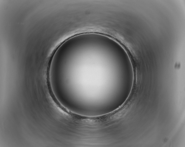 X0000094961500200711291428