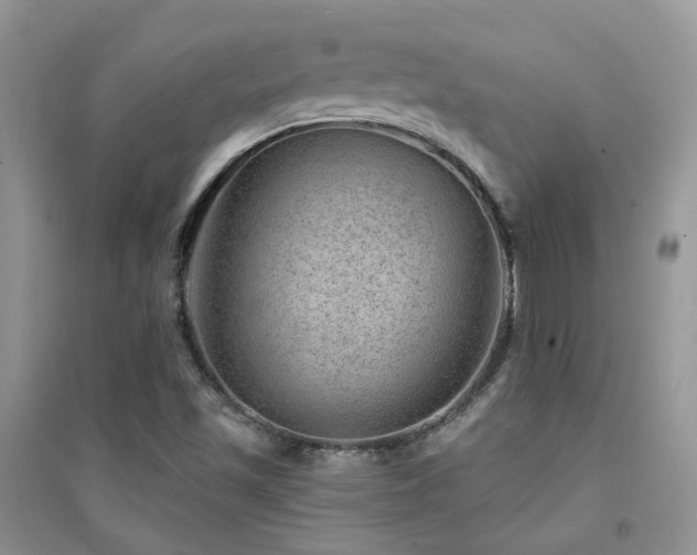 X0000094961501200711291428