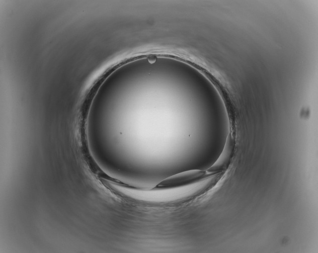 X0000094961502200711291428