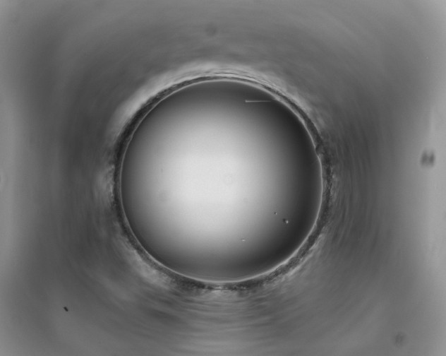 X0000094961503200711291428