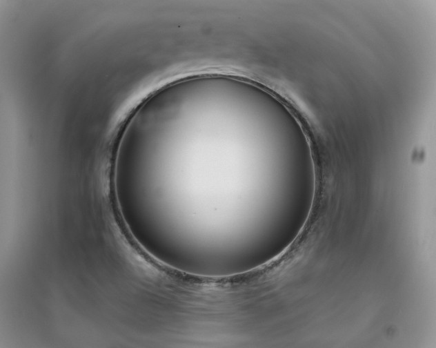 X0000094961504200711291428