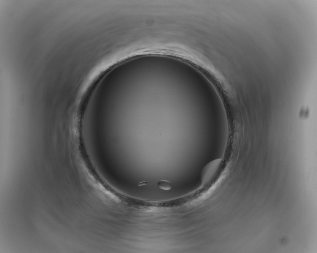 X0000094961506200711291428