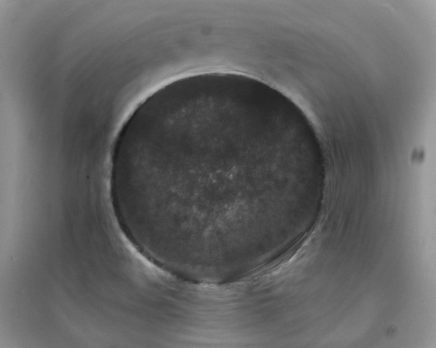 X0000094961508200711291428