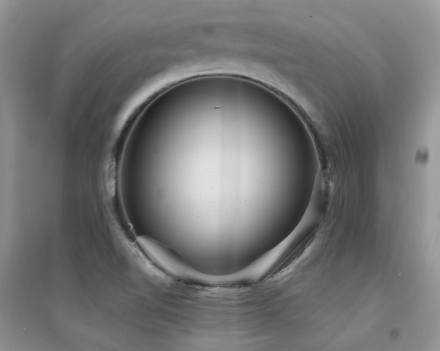 X0000094961510200711291428