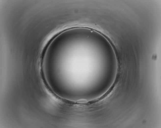 X0000094961511200711291428