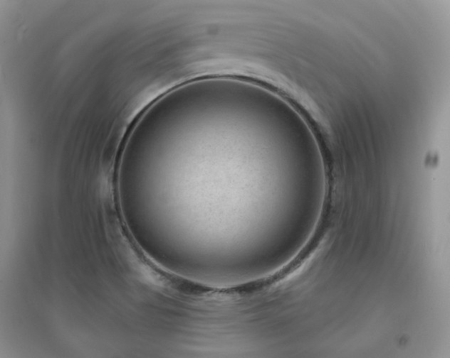 X0000094961513200711291428