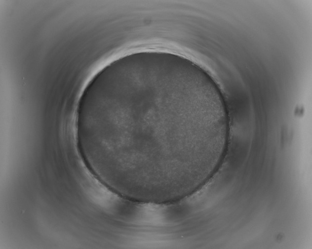 X0000094961514200711291428