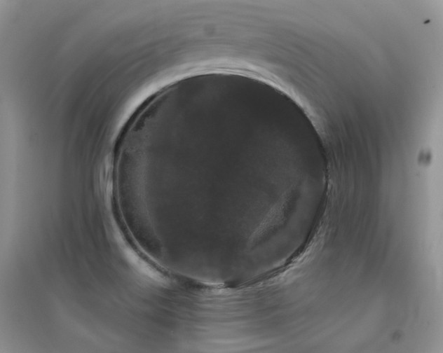 X0000094961515200711291428