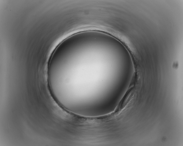 X0000094961516200711291428