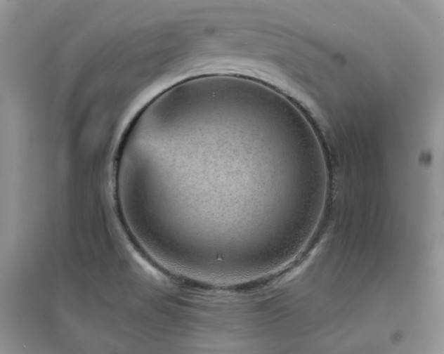X0000094961517200711291428