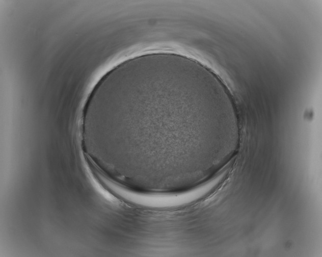 X0000094961519200711291428
