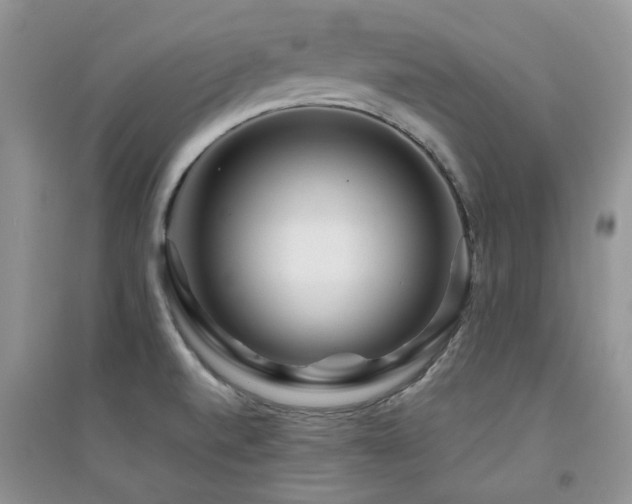 X0000094961520200711291428
