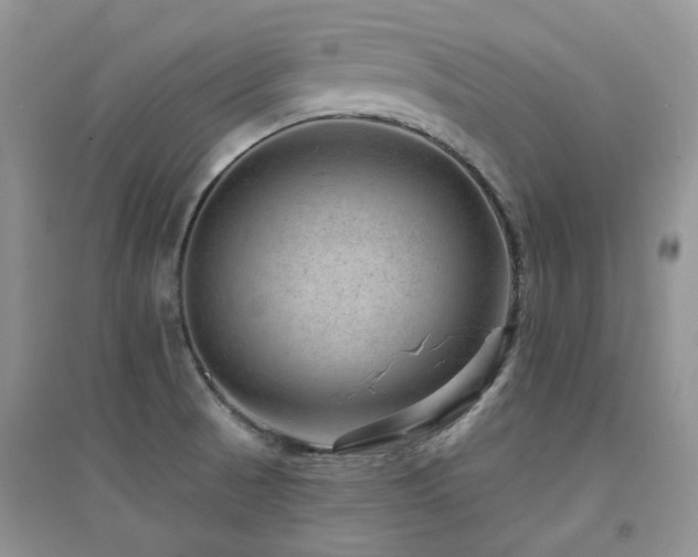 X0000094961521200711291428