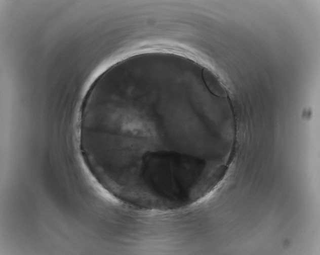 X0000094961522200711291428