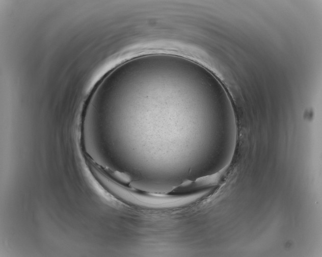 X0000094961523200711291428