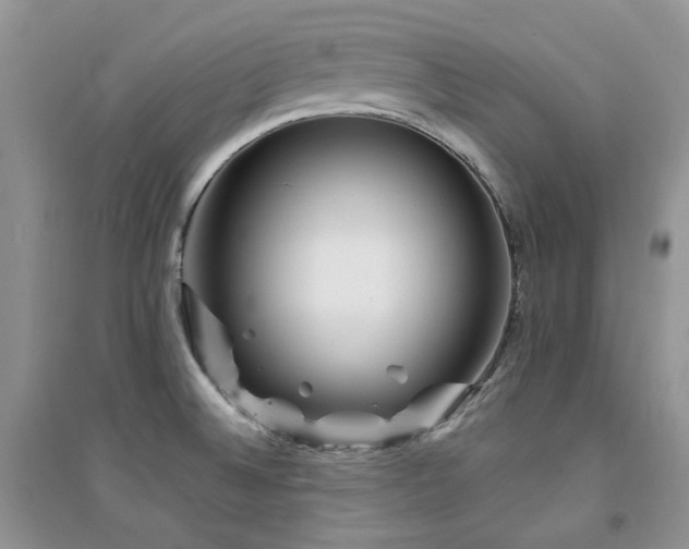 X0000094961524200711291429