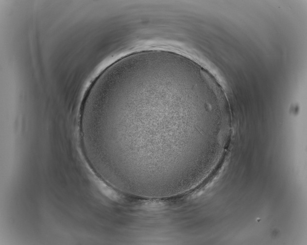 X0000094961525200711291429