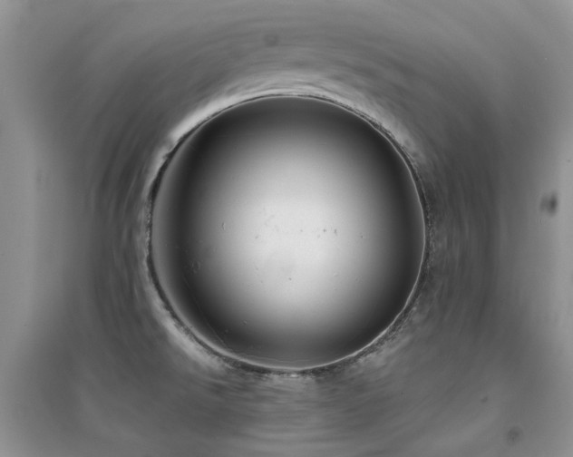 X0000094961526200711291429