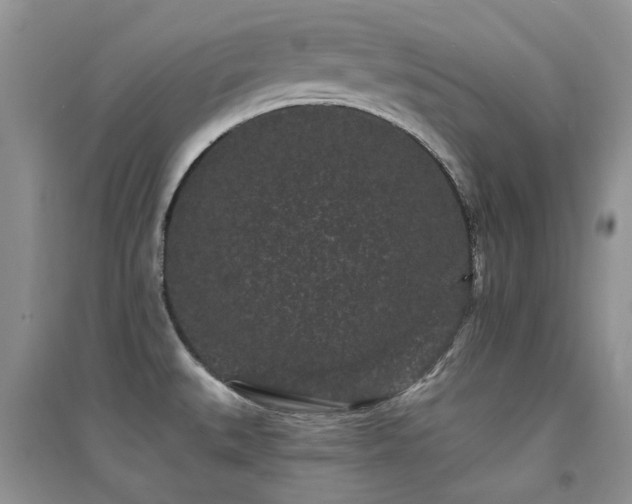 X0000094961527200711291429