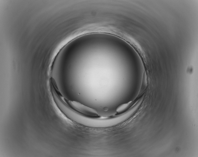 X0000094961528200711291429