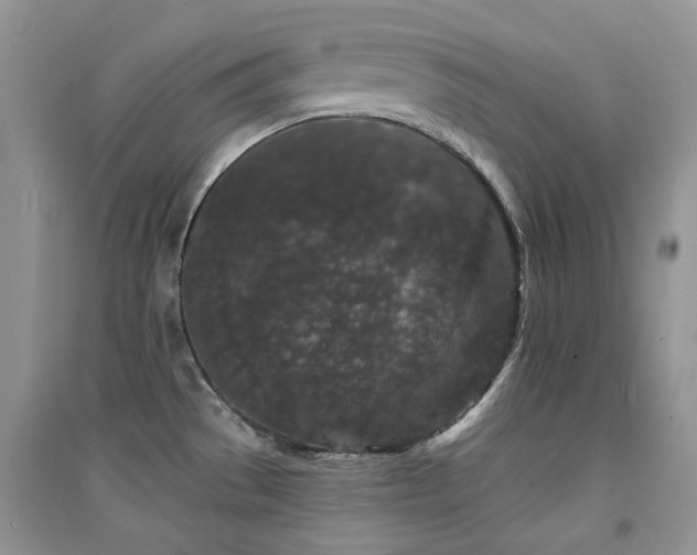 X0000094961529200711291429