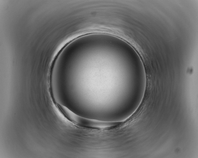 X0000094961531200711291429