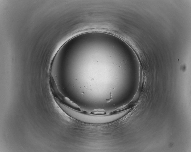 X0000094961532200711291429