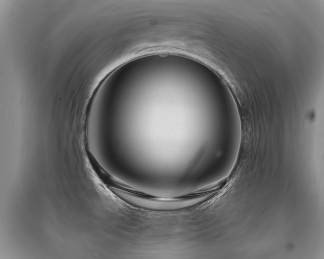 X0000094961534200711291429