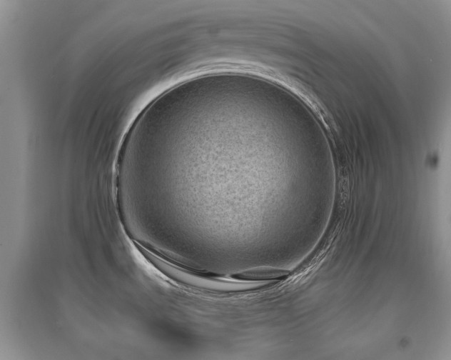 X0000094961535200711291429