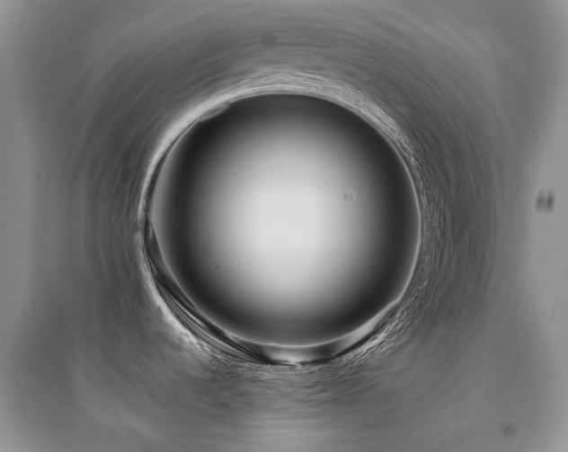 X0000094961536200711291429