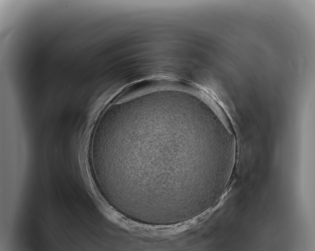 X0000094960001200712061321