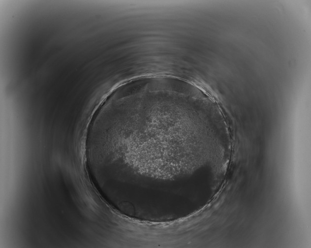 X0000094960002200712061321