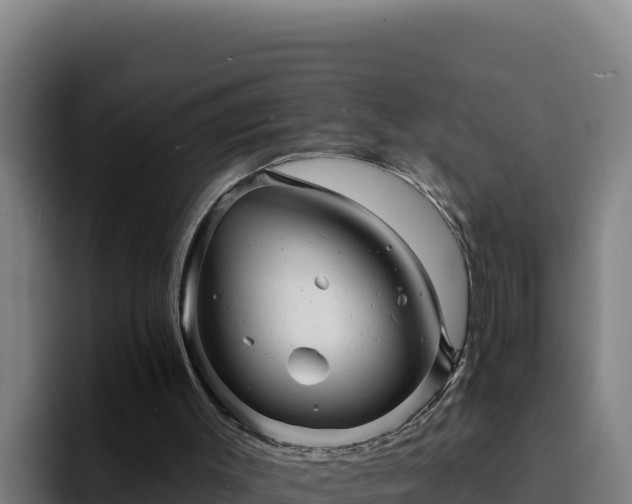 X0000094960003200712061321