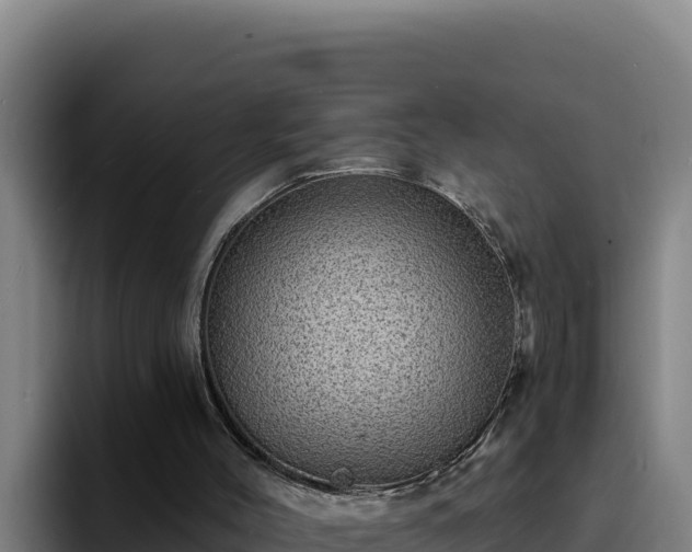 X0000094960004200712061321