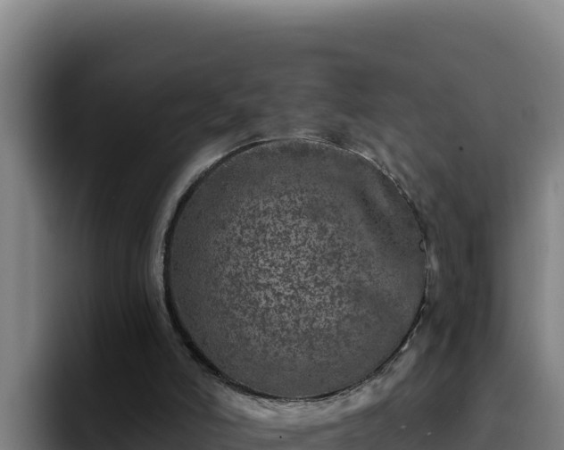 X0000094960006200712061321