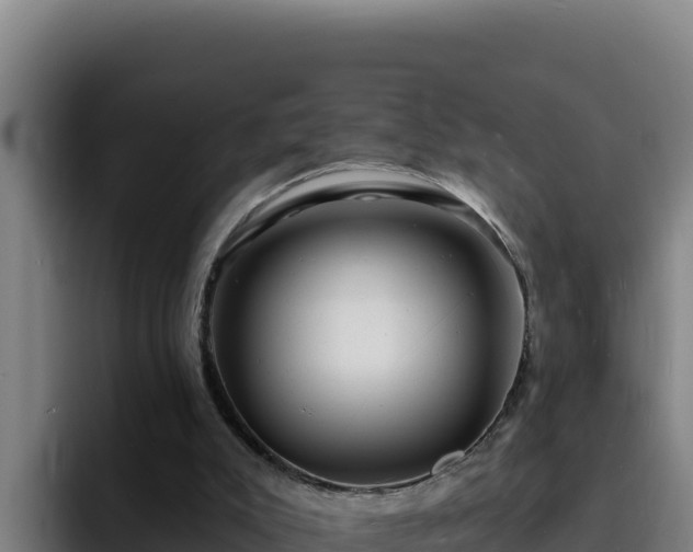 X0000094960007200712061321