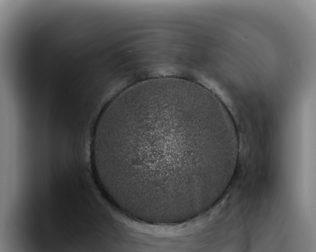 X0000094960010200712061321