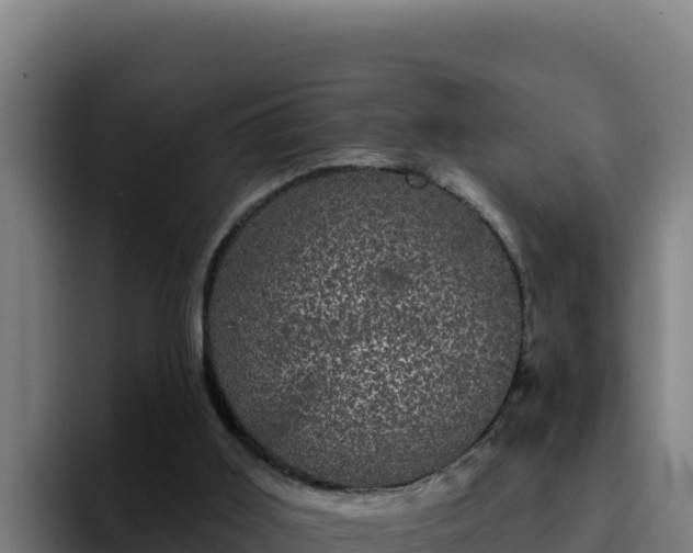 X0000094960011200712061321