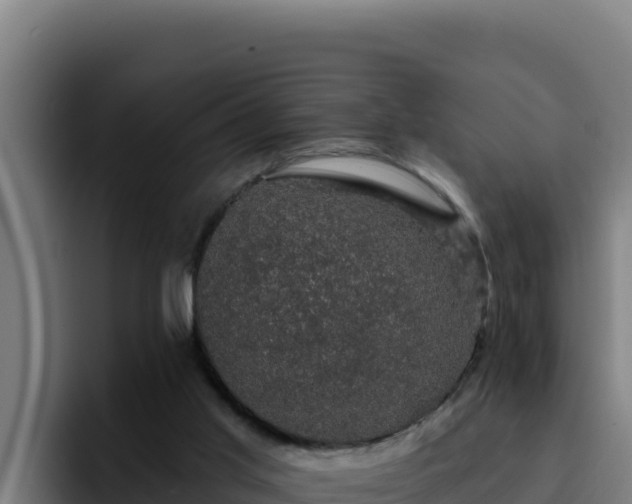 X0000094960013200712061321