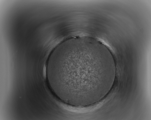 X0000094960014200712061321