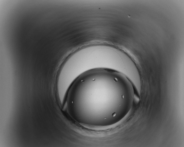 X0000094960015200712061321