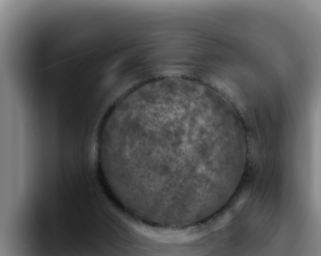 X0000094960016200712061321